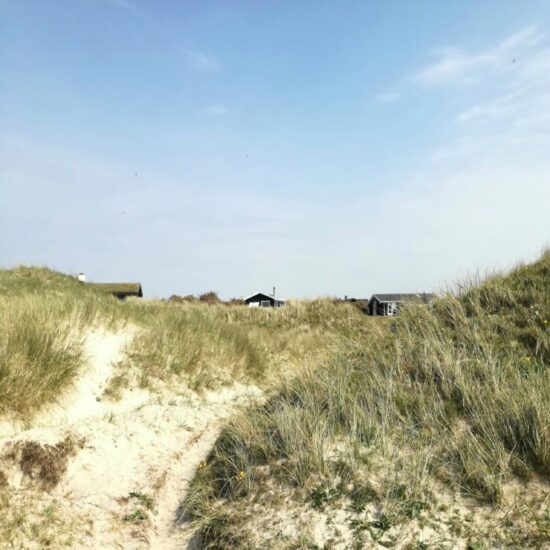 Sommerhus i klitterne