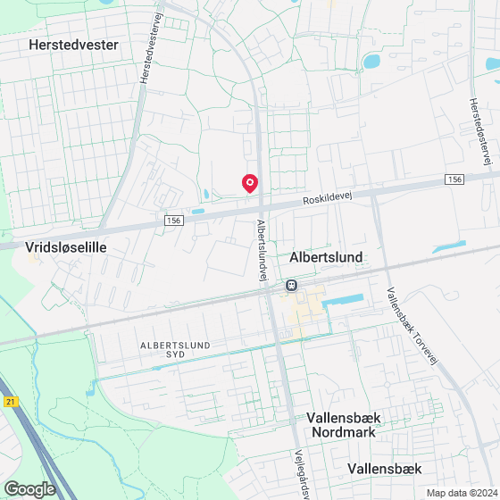 Kastanie Alle 6
