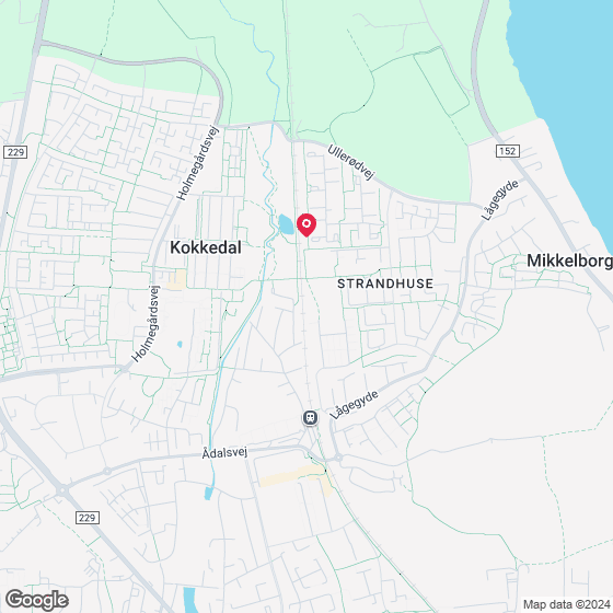 Fasanvænget 310