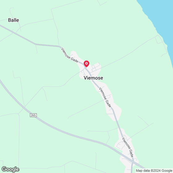 Viemose Gade 84